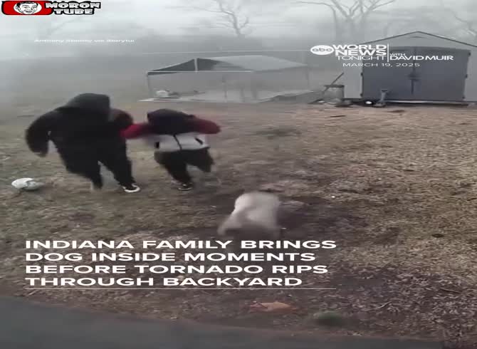 Video :A dog is saved by lightning before a tornado approaches